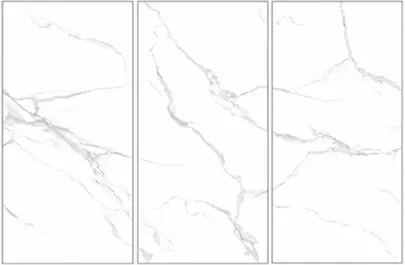 New Carrara White-1.webp