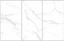 New Carrara White-1.webp