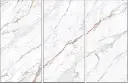 CALAGIN-1.webp