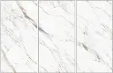 CARVE FISH MAW GOLD-1.webp