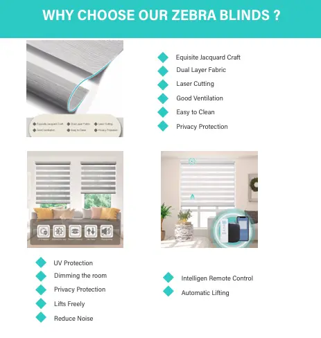 Window Blinds-1.webp