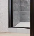 Axio Pivot Shower Door-3.webp