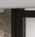 AXIO XTRA Custom Pivot Shower Door-1.webp