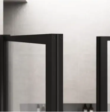 AXIO XTRA Custom Pivot Shower Door-2.webp