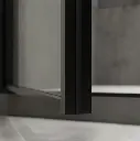 Axio Pivot Door and Panel Shower Door-2.webp