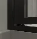 Axio Horizon Pivot Shower Door-1.webp