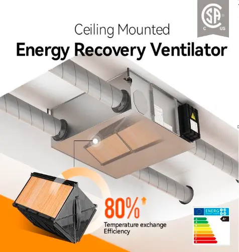 Wall Mounted ERV