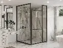 AXIO XTRA Custom Pivot Shower Door