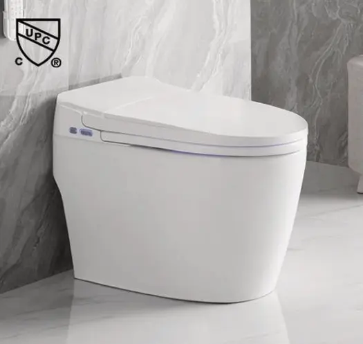 SMART ONE-PIECE TOILET - OVS-2230C