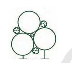 Model DP01