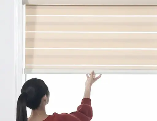 Zebra Blinds