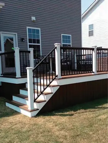 Railing Co-extrusion