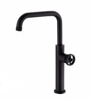 Single Hole Kitchen Faucet AF1013-5