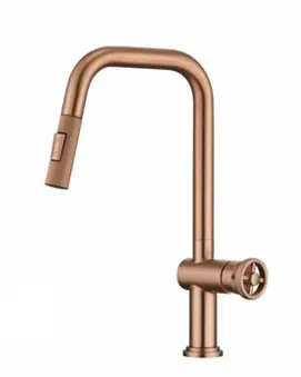 Pull-Down Kitchen Faucet - AF1021-5S