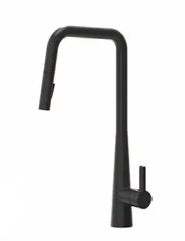 Pull-Down Kitchen Faucet - AF7820-5H
