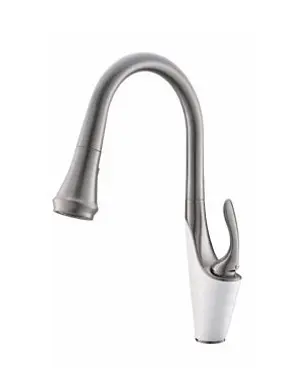 Pull-Down Kitchen Faucet - AF6847-5BW